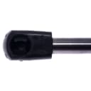 Trunk Lid Lift Support Strong Arm fits 91-94 INFINITI G20 for Dodge 2021 6.4L V8 - photo 3