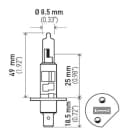 Headlight Bulb Hella H71070227 for Ford Focus 2015 2.0L L4 GAS - photo 2