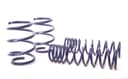For Dodge Ram 1500 Coil Spring Lowering Kit-Sport Spring H&R SPECIAL 2006 - photo 1