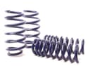 For Dodge Charger Coil Spring Lowering Kit-R/T H&R SPECIAL SPRINGS 2006 - photo 1